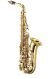 Roosevelt  & Fred Moore Middle School Alto Sax Band Program Accessory Pkg 2010