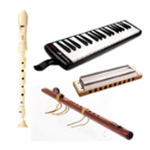 Harmonicas, Recorders, Small Instruments