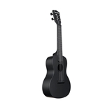 Kala Waterman Concert Ukulele