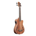 Journeyman Mahogany AC/EL UBass - Fretted with Bag