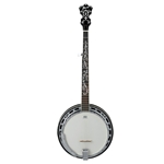 Ibanez B300 5 String Banjo