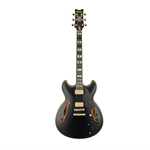 Ibanez JSM20BKL Scofield Signature Electric Guitar with Case