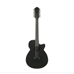 Ibanez AEG1221BOT 12 String AC/EL - Black Out