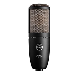 P220 Large Diaphragm Condenser Recording Mic