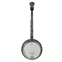 Ibanez B300 5 String Banjo