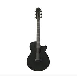 Ibanez AEG1221BOT 12 String AC/EL - Black Out